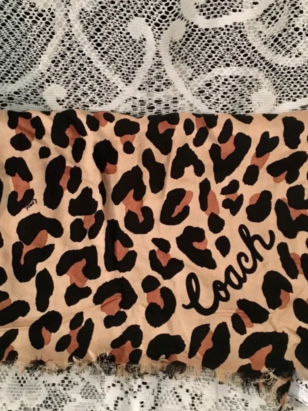 NWT Coach women leopard print scarf